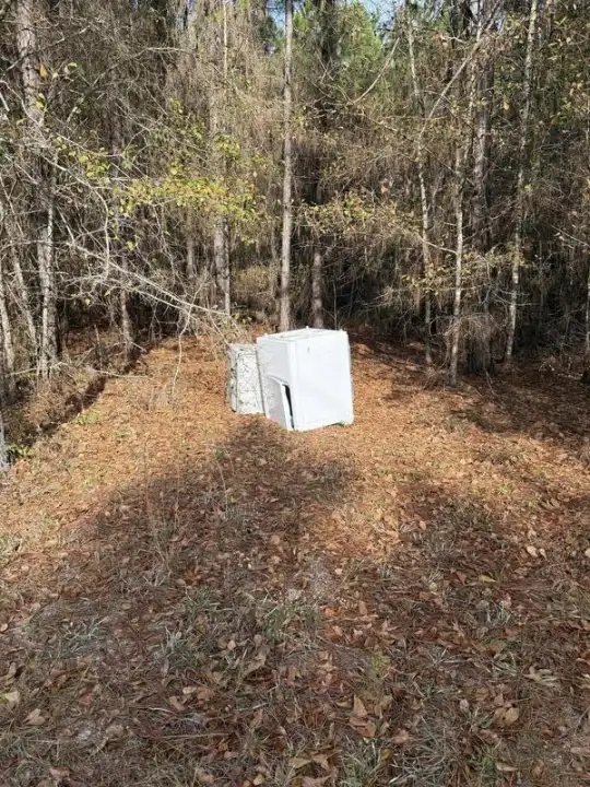 Couch and furniture removal in Springfield, GA